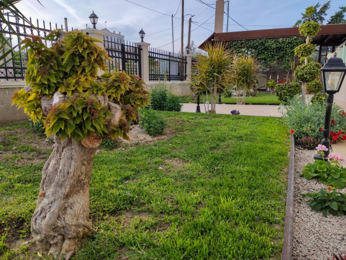 Simplycity Homestay Apartments Kremastí المظهر الخارجي الصورة